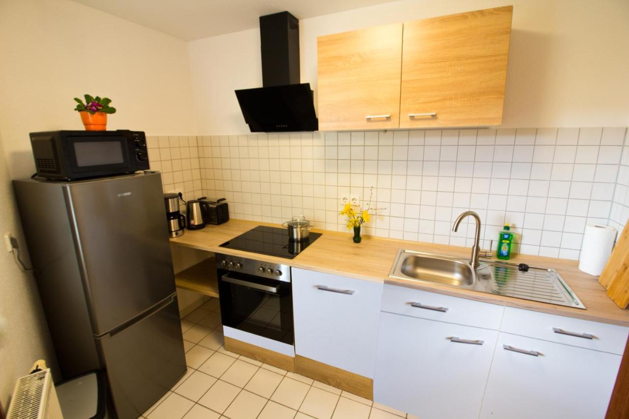 Ferienwohnung Tukan Apartment Dresden Laubegast Wlan Tv Ebike Exterior photo